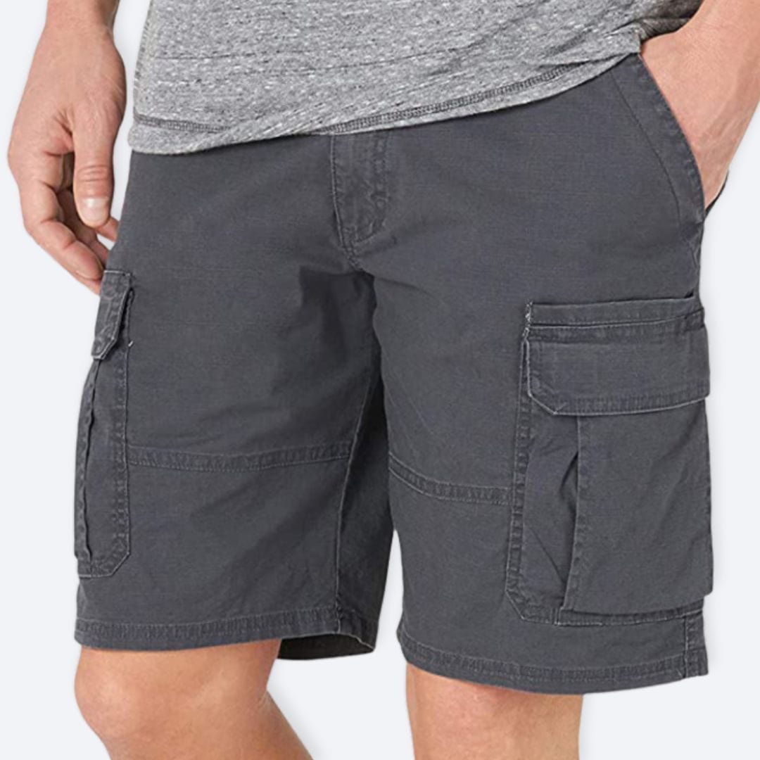 Cargo Short 2.0 Grey / S ARCA